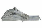 Very Lustrous, Metallic Stibnite Crystals - Jiangxi, China #236186-1
